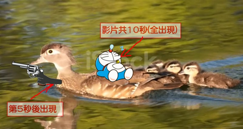 duck-ok.jpg